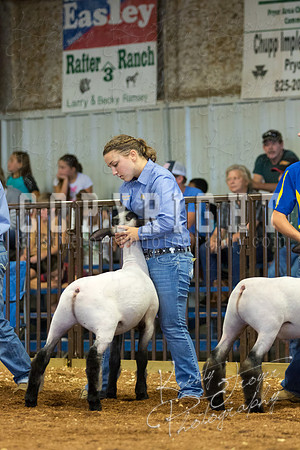 MAYES_COUNTY_FAIR_SHEEP-2949
