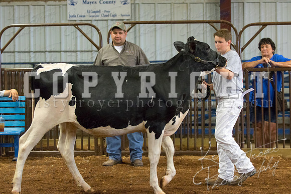 MAYES_COUNTY_FAIR_DAIRY-3338