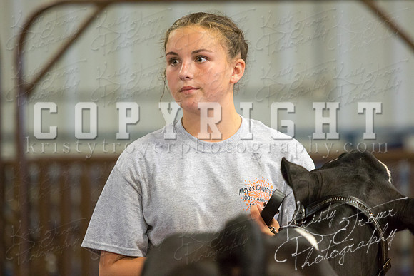 MAYES_COUNTY_FAIR_DAIRY-3327