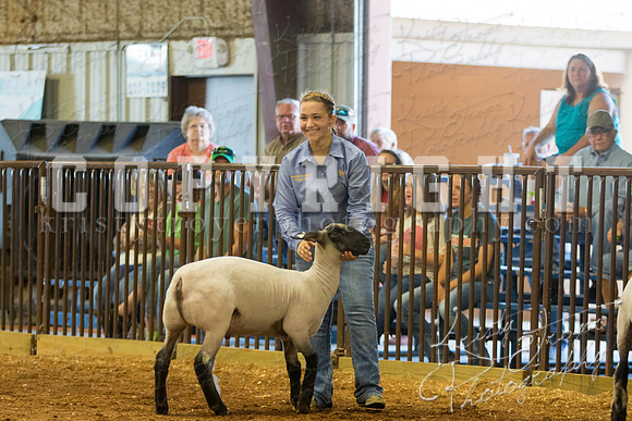 MAYES_COUNTY_FAIR_SHEEP-2874