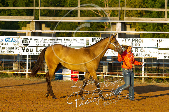 IMG_9852©KRISTYTROYER