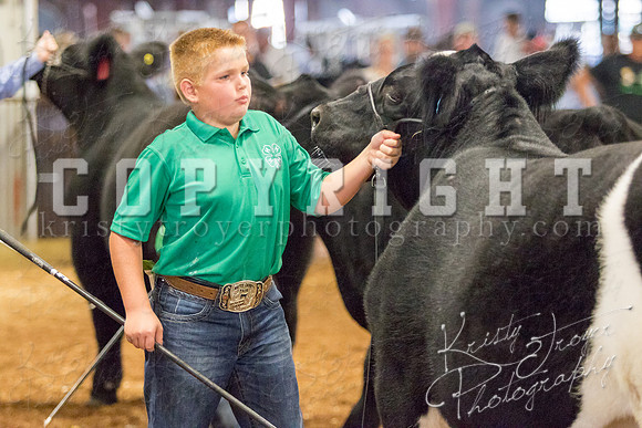 MAYES_COUNTY_FAIR_steer-4048