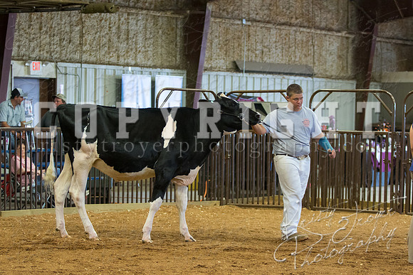 MAYES_COUNTY_FAIR_DAIRY-3350