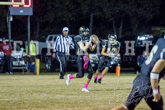 salina_vs_hollandhall_football-9709