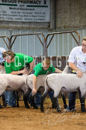 MAYES_COUNTY_FAIR_SHEEP-3097
