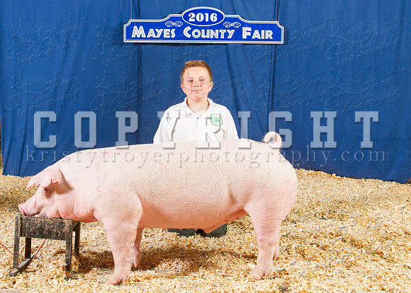 Mayes_County_Fair_Backdrop-0626