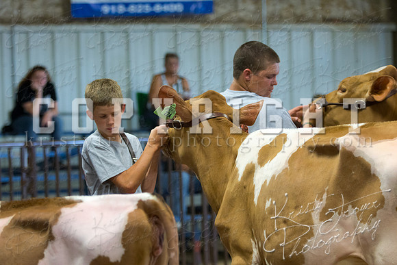 MAYES_COUNTY_FAIR_DAIRY-3310