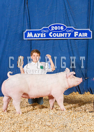 Mayes_County_Fair_Backdrop-0612