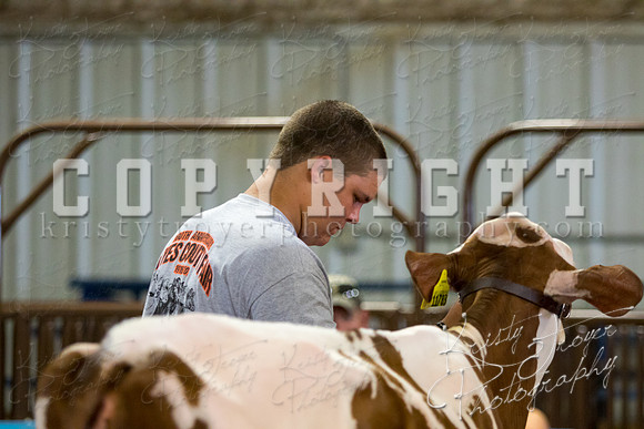 MAYES_COUNTY_FAIR_DAIRY-3336