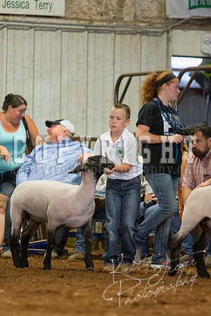 MAYES_COUNTY_FAIR_SHEEP-3114