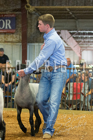 MAYES_COUNTY_FAIR_SHEEP-2854