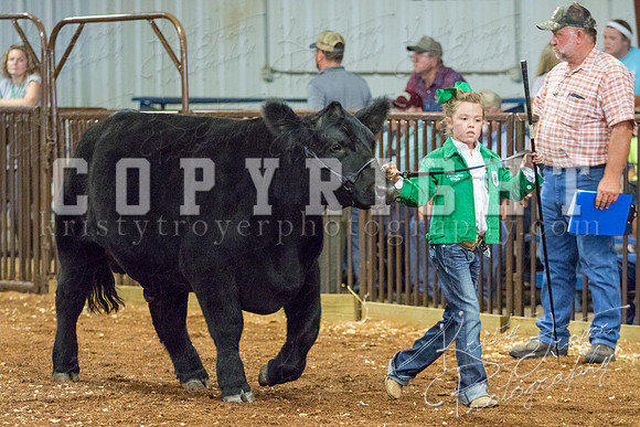 MAYES_COUNTY_FAIR_steer-4046