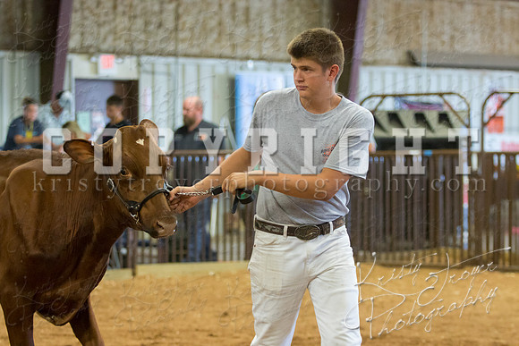 MAYES_COUNTY_FAIR_DAIRY-3432