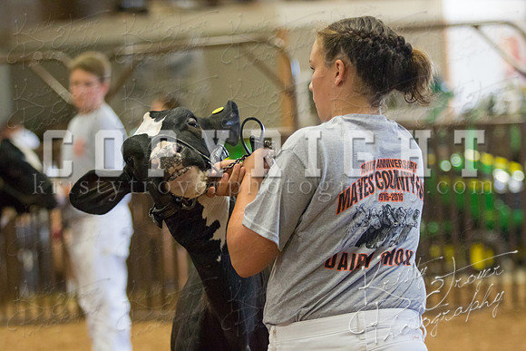 MAYES_COUNTY_FAIR_DAIRY-3320