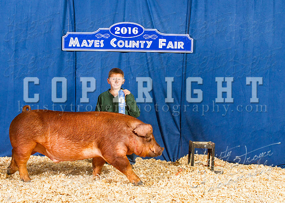 Mayes_County_Fair_Backdrop-0367