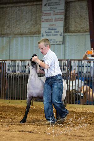 MAYES_COUNTY_FAIR_SHEEP-3117