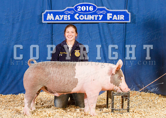 Mayes_County_Fair_Backdrop-0561