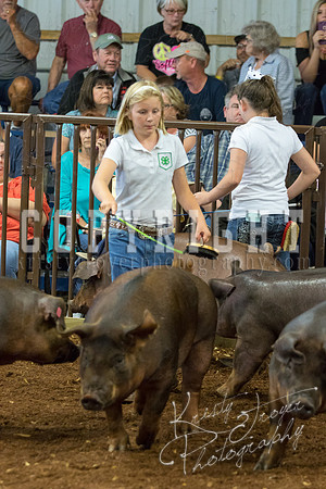 MAYES_COUNTY_FAIR_Swine-9547