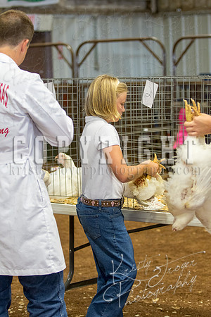 MAYES_COUNTY_FAIR_boiler-3875