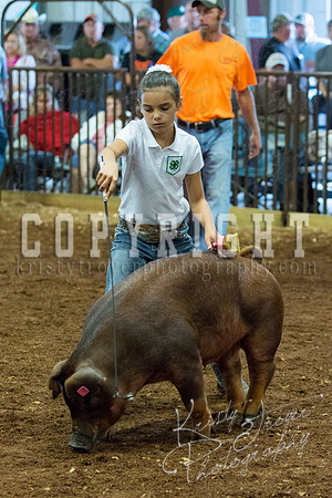 MAYES_COUNTY_FAIR_Swine-9491