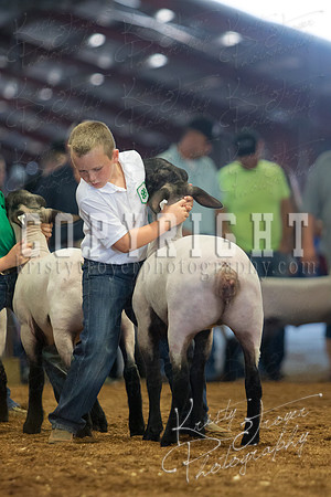 MAYES_COUNTY_FAIR_SHEEP-3120