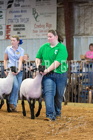 MAYES_COUNTY_FAIR_SHEEP-3109