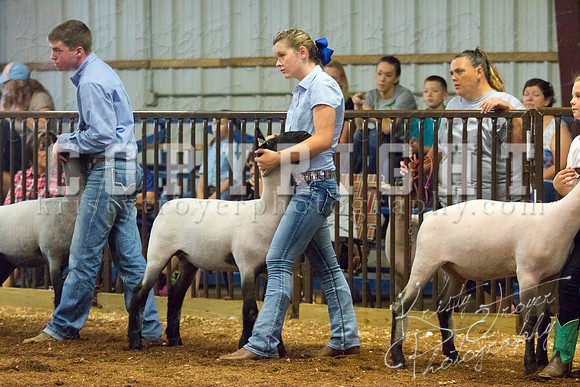 MAYES_COUNTY_FAIR_SHEEP-2861