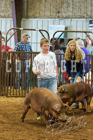 MAYES_COUNTY_FAIR_Swine-9527