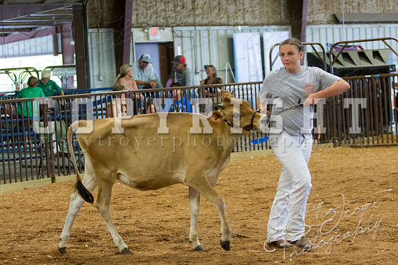 MAYES_COUNTY_FAIR_DAIRY-3386