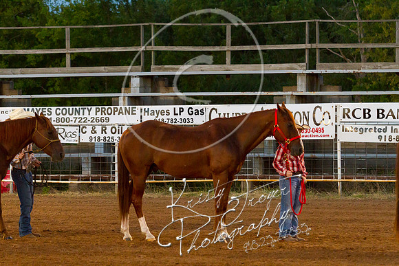 IMG_0122©KRISTYTROYER