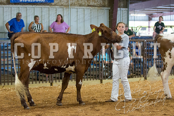 MAYES_COUNTY_FAIR_DAIRY-3417