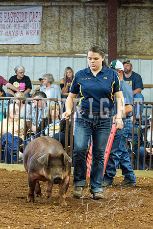 MAYES_COUNTY_FAIR_Swine-9544