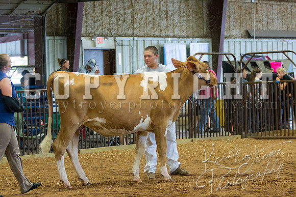 MAYES_COUNTY_FAIR_DAIRY-3308