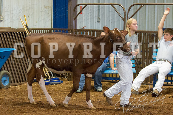 MAYES_COUNTY_FAIR_DAIRY-3444