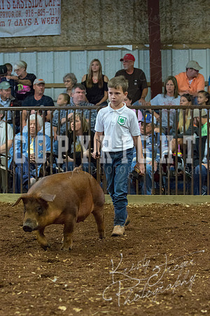 MAYES_COUNTY_FAIR_Swine-9468