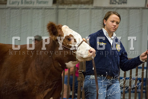 MAYES_COUNTY_FAIR_heifer-4192