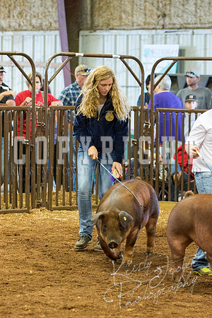 MAYES_COUNTY_FAIR_Swine-9528