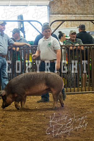 MAYES_COUNTY_FAIR_Swine-9471