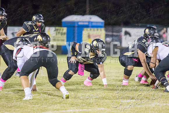 salina_vs_hollandhall_football-9643