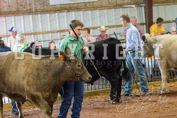 MAYES_COUNTY_FAIR_steer-3912
