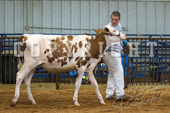 MAYES_COUNTY_FAIR_DAIRY-3332
