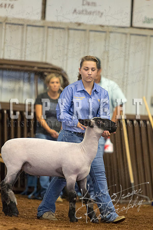MAYES_COUNTY_FAIR_SHEEP-2960