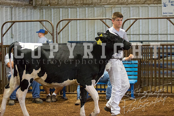 MAYES_COUNTY_FAIR_DAIRY-3340