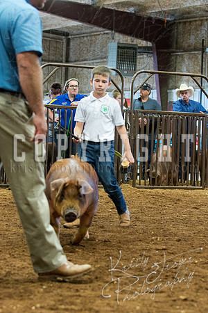 MAYES_COUNTY_FAIR_Swine-9538