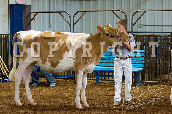 MAYES_COUNTY_FAIR_DAIRY-3440