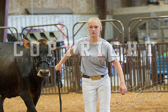 MAYES_COUNTY_FAIR_DAIRY-3459