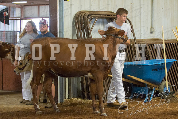 MAYES_COUNTY_FAIR_DAIRY-3423
