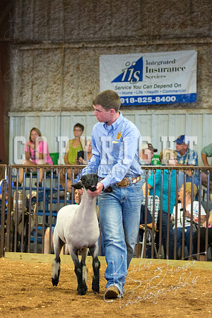 MAYES_COUNTY_FAIR_SHEEP-2955