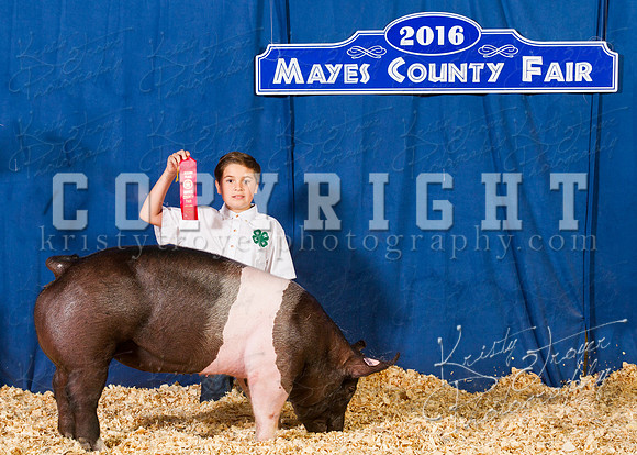 Mayes_County_Fair_Backdrop-0416