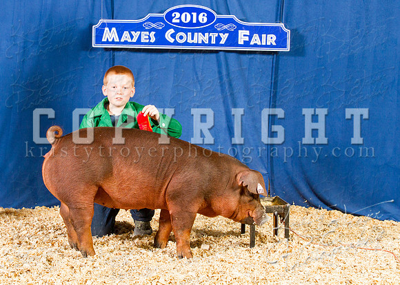 Mayes_County_Fair_Backdrop-0524